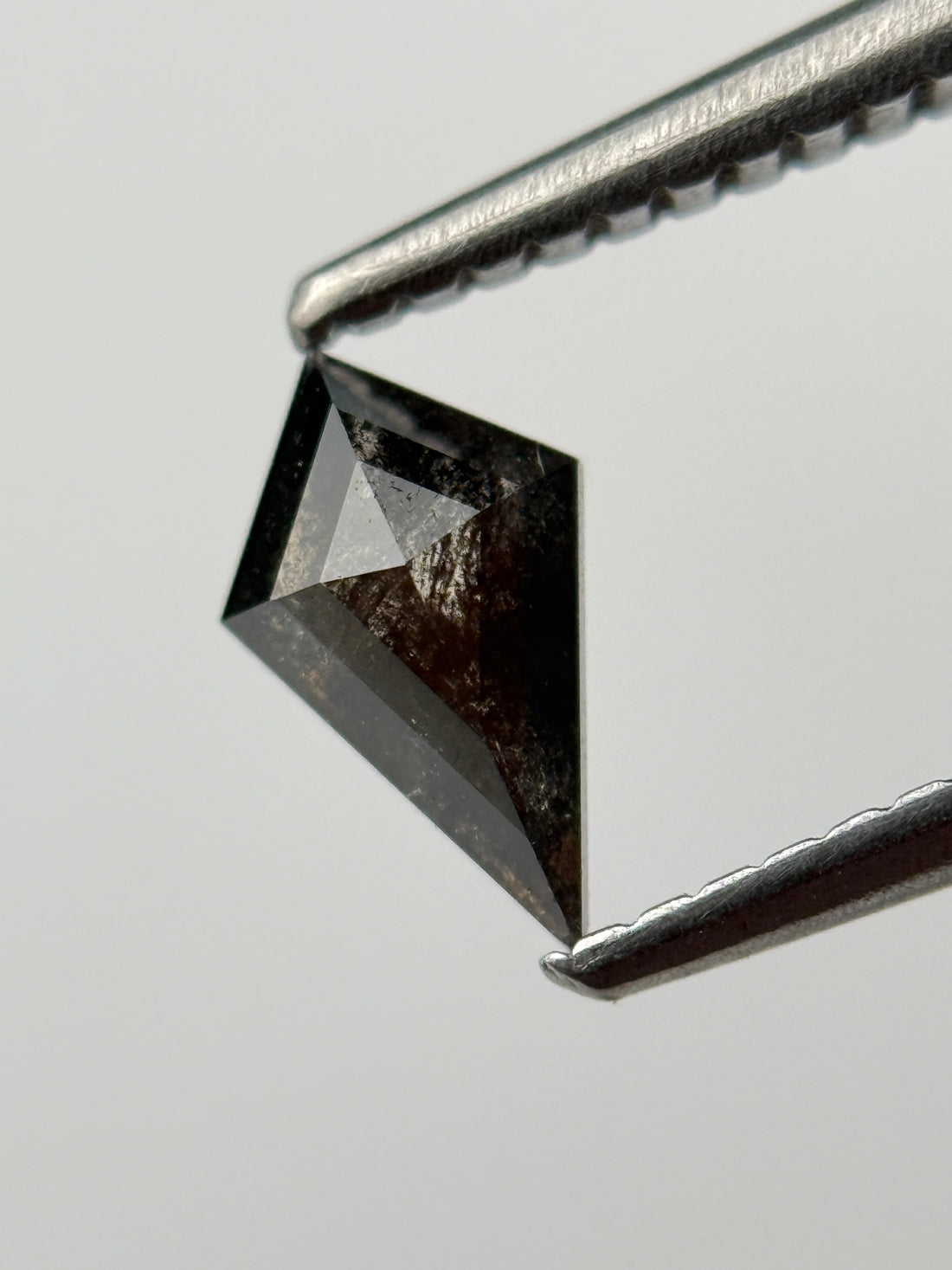 0.48 Ct Kite Rose Cut Black Natural Salt and Pepper Diamond