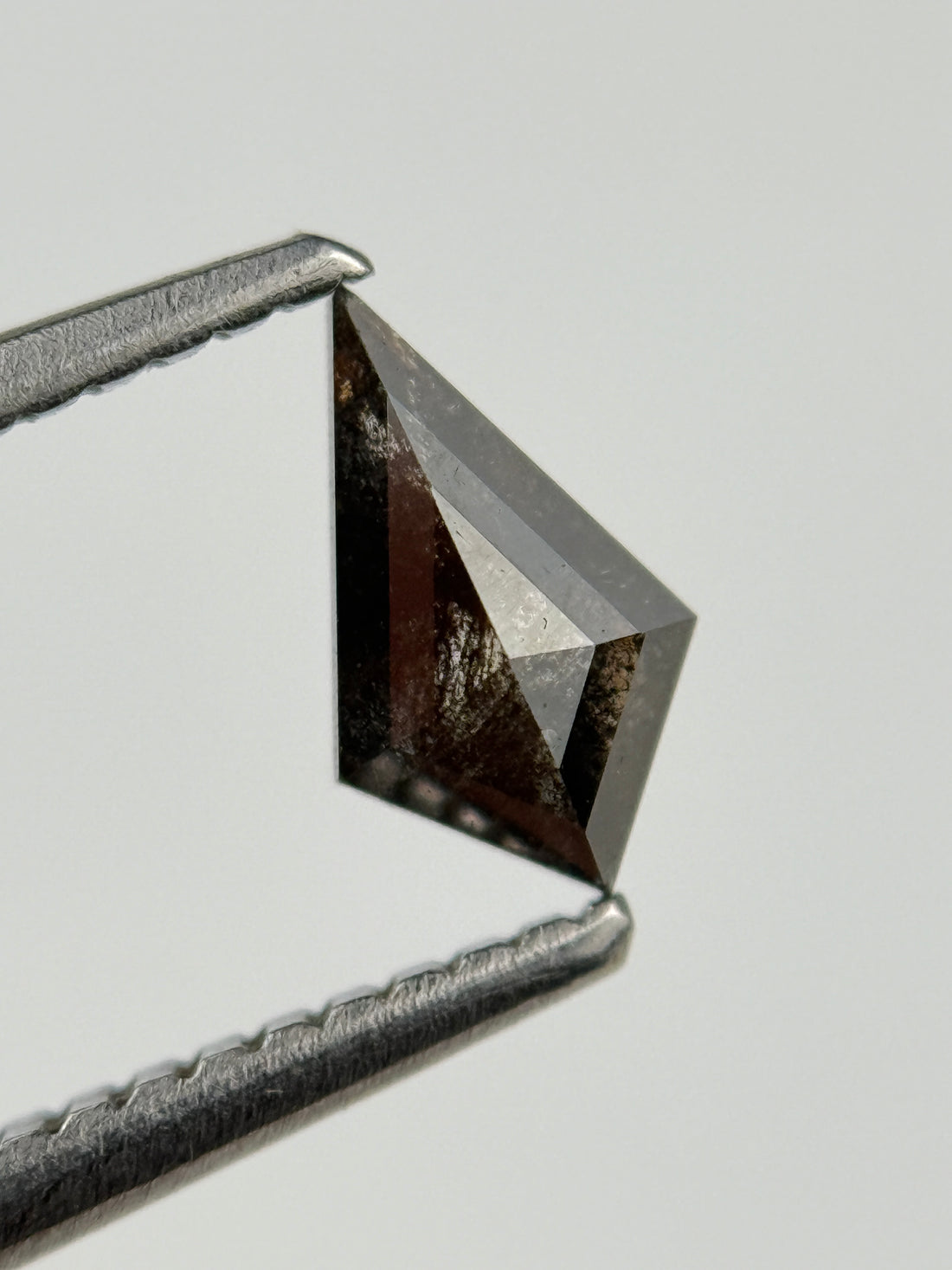0.48 Ct Kite Rose Cut Black Natural Salt and Pepper Diamond