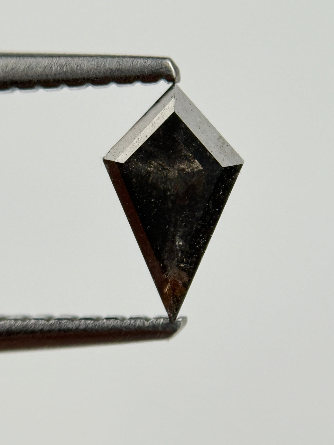0.48 Ct Kite Rose Cut Black Natural Salt and Pepper Diamond