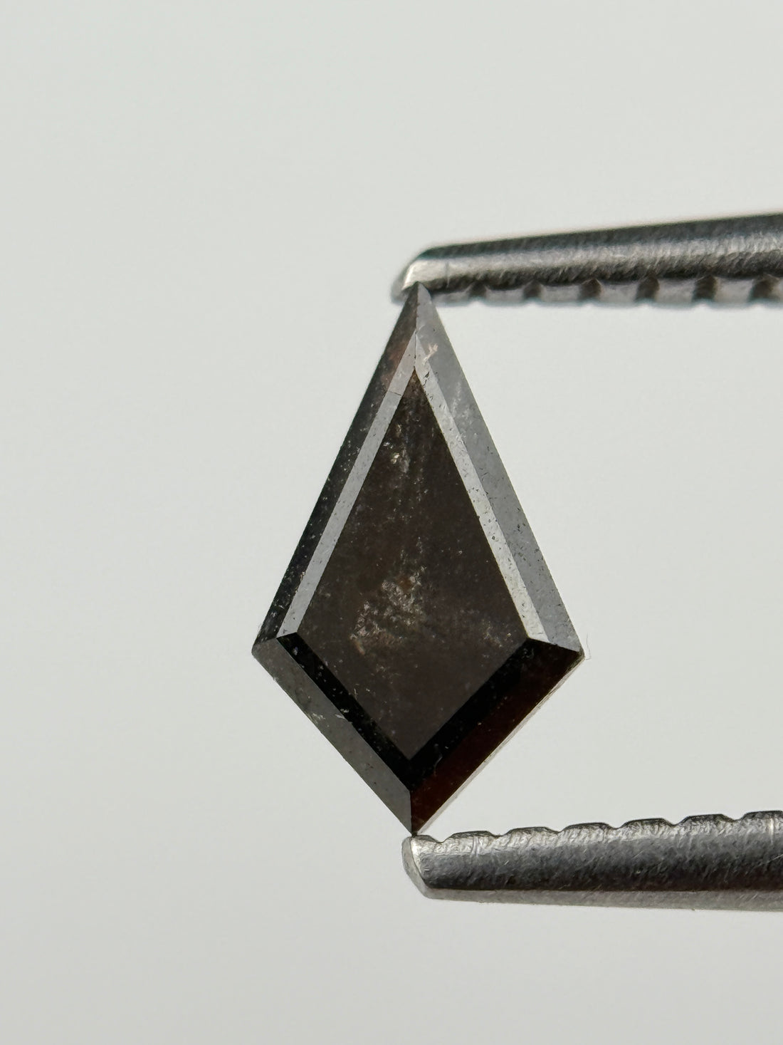 0.48 Ct Kite Rose Cut Black Natural Salt and Pepper Diamond