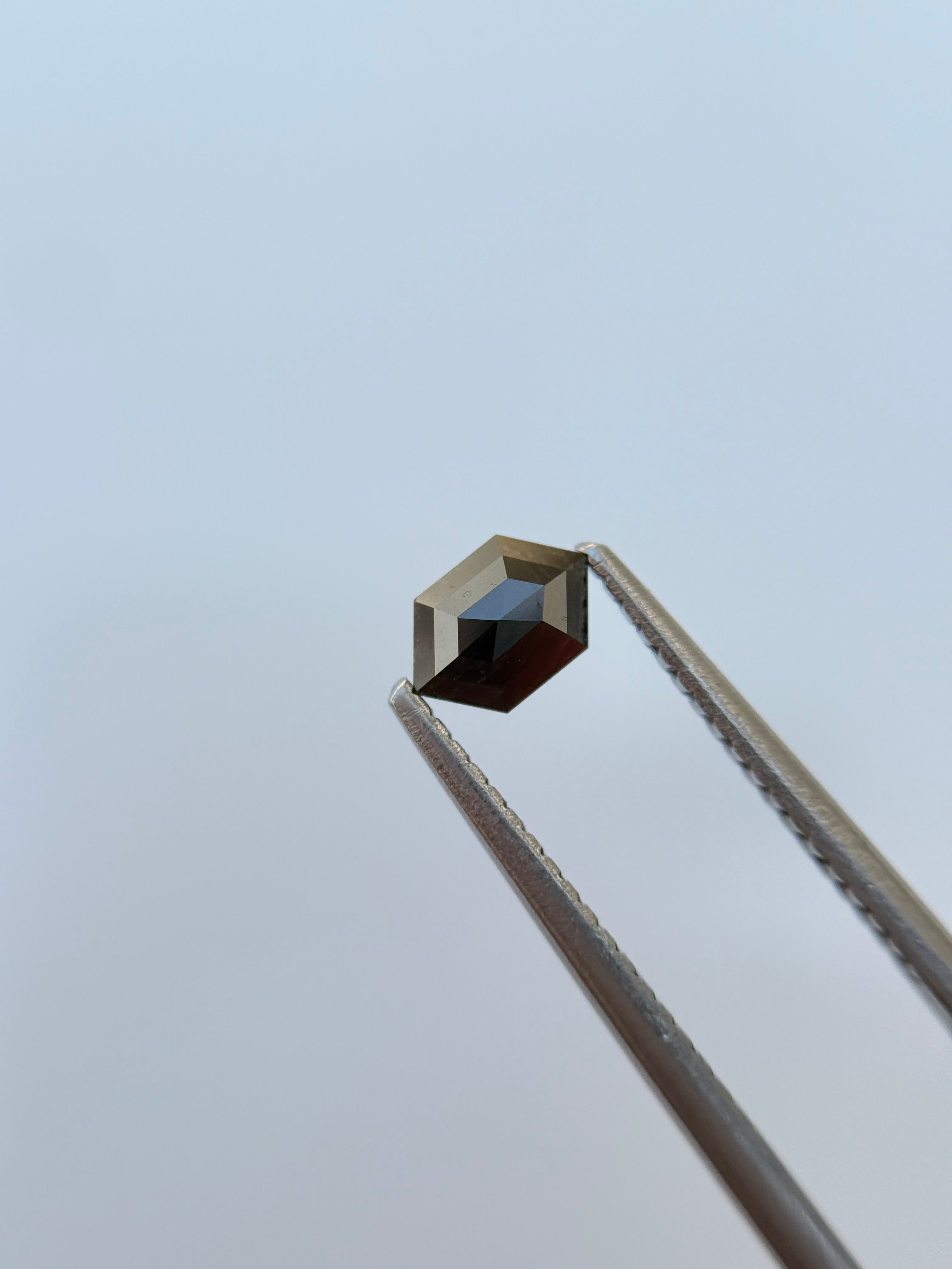 0.32 Ct Hexagon Rose Cut Grey Natural Salt and Pepper Diamond