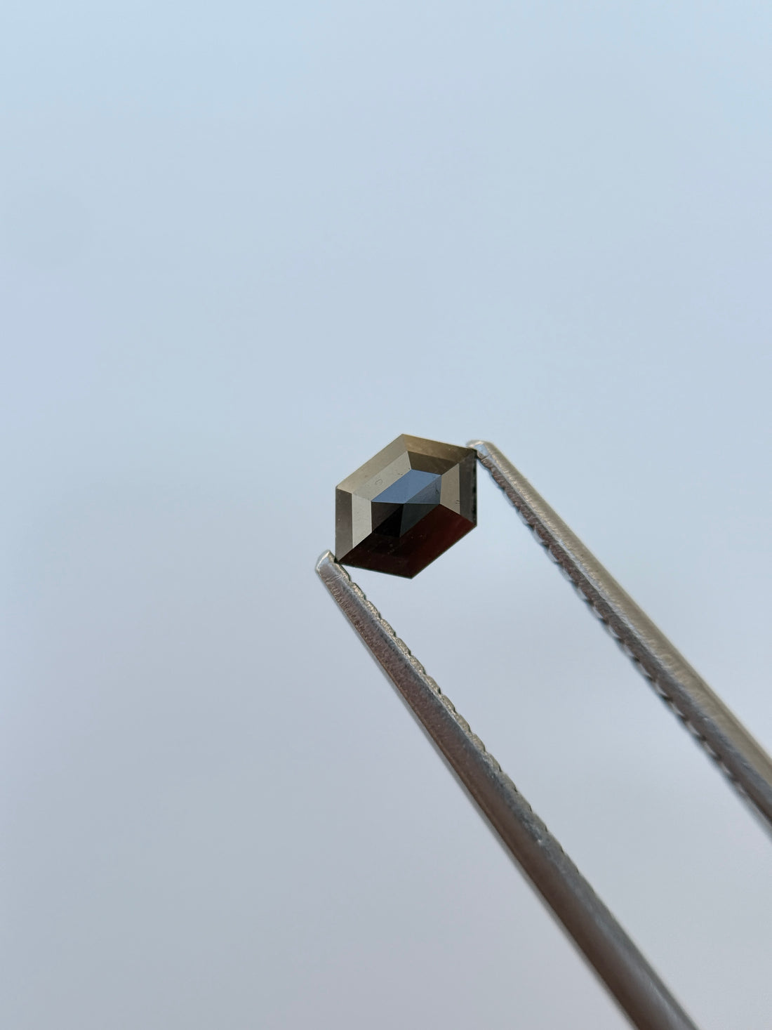 0.32 Ct Hexagon Rose Cut Grey Natural Salt and Pepper Diamond