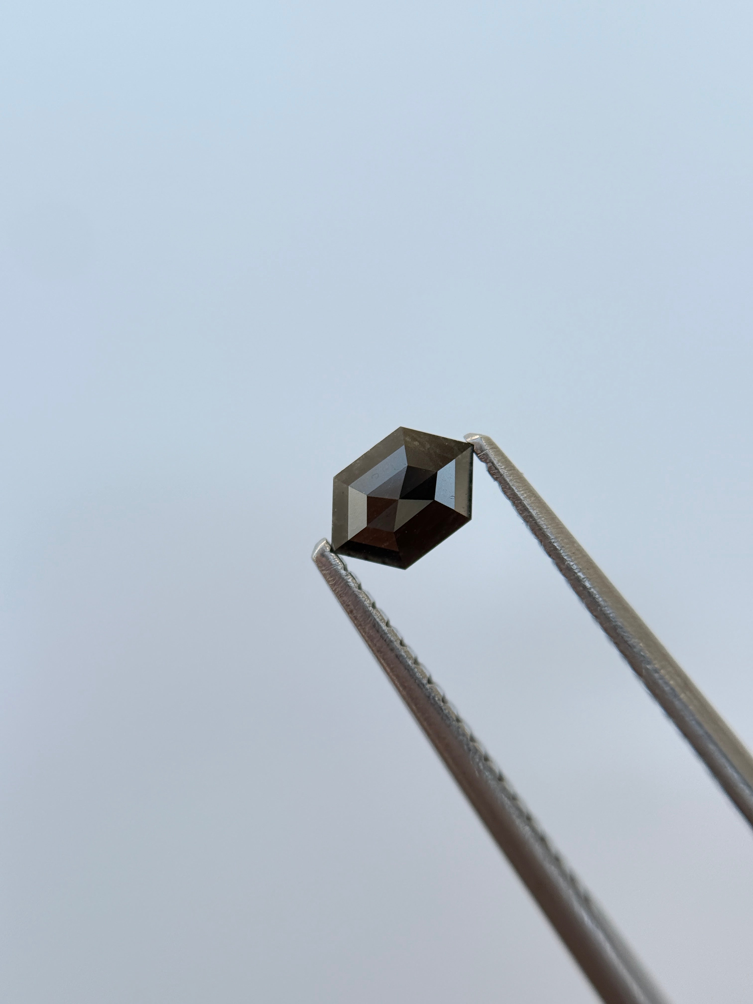 0.32 Ct Hexagon Rose Cut Grey Natural Salt and Pepper Diamond