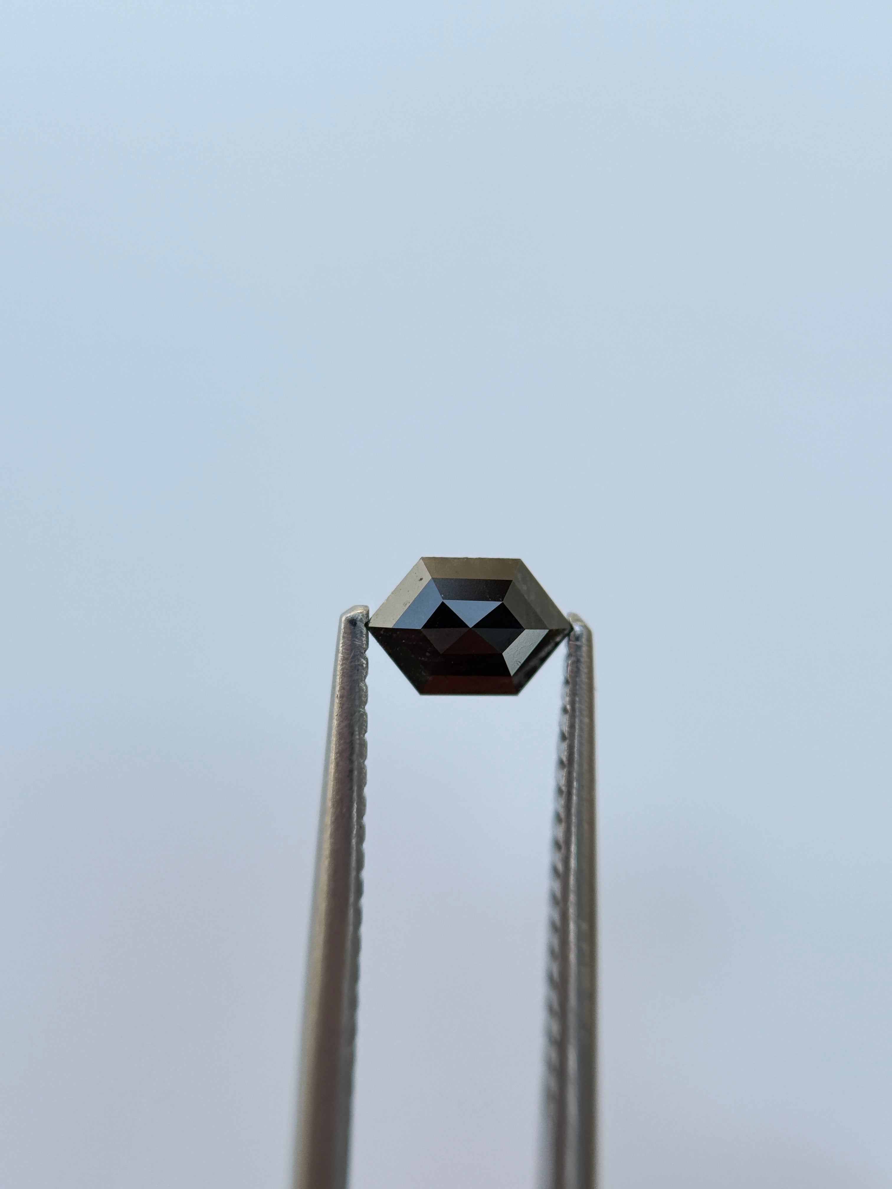 0.32 Ct Hexagon Rose Cut Grey Natural Salt and Pepper Diamond