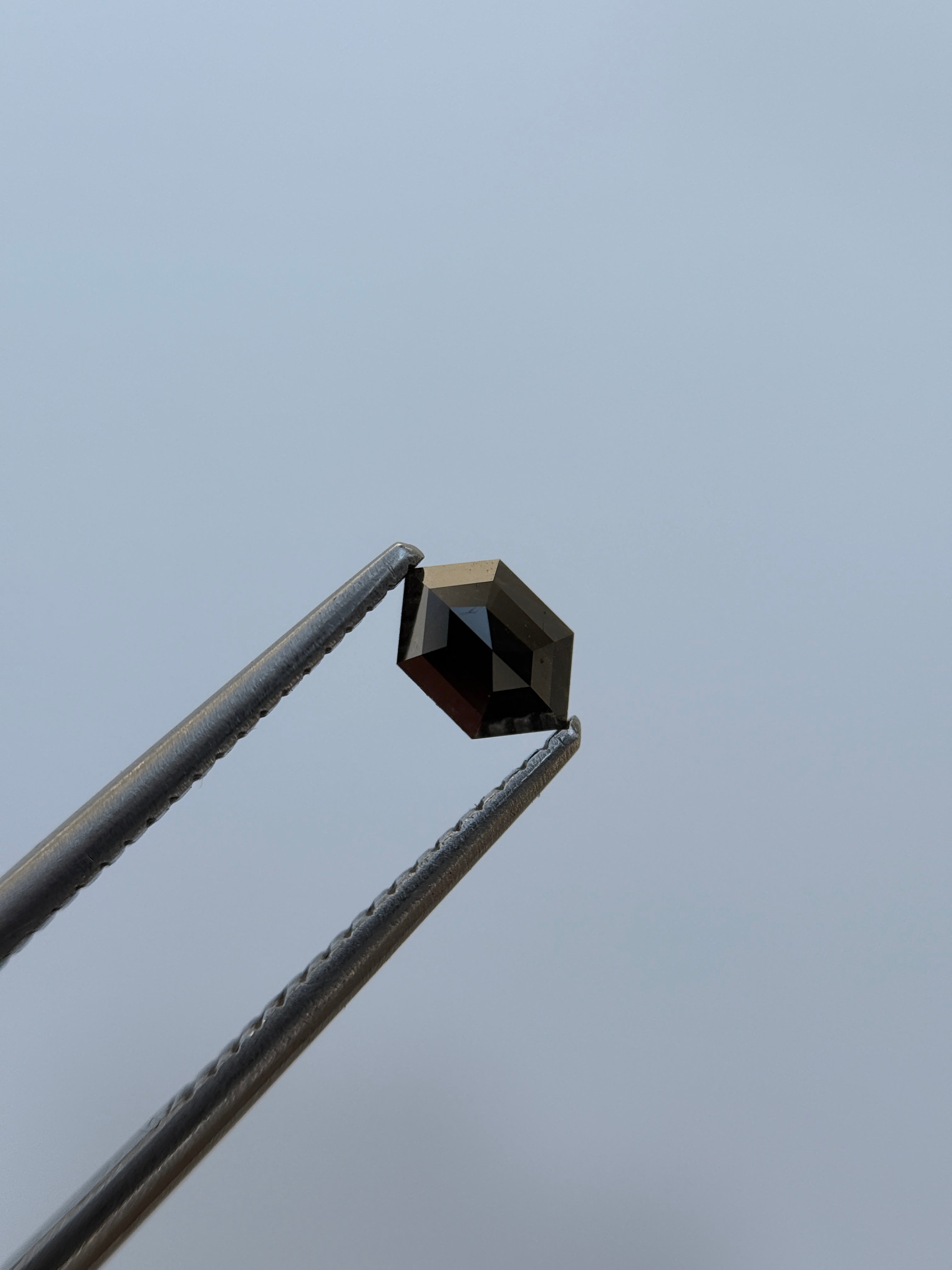 0.32 Ct Hexagon Rose Cut Grey Natural Salt and Pepper Diamond