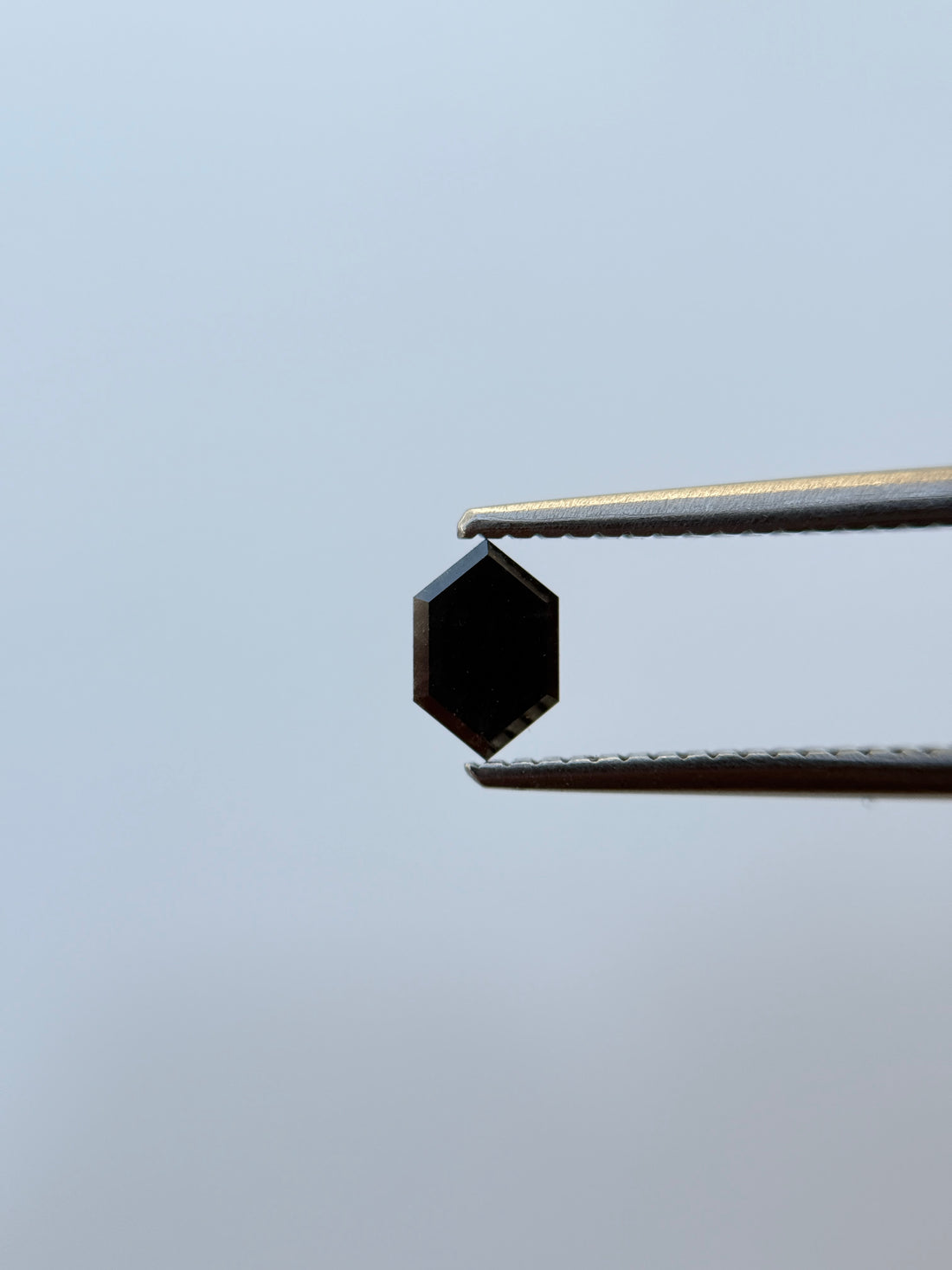 0.32 Ct Hexagon Rose Cut Grey Natural Salt and Pepper Diamond