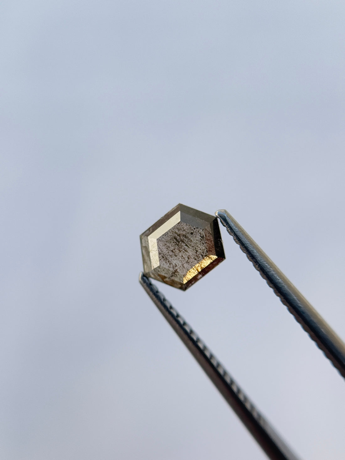 0.83 Ct Hexagon Rose Cut Grey Natural Salt and Pepper Diamond