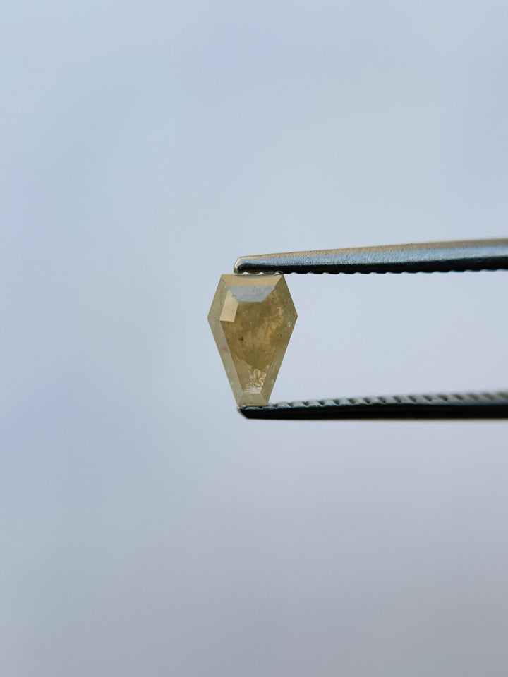 0.69 Ct Coffin Rose Cut Grey Natural Salt and Pepper Diamond