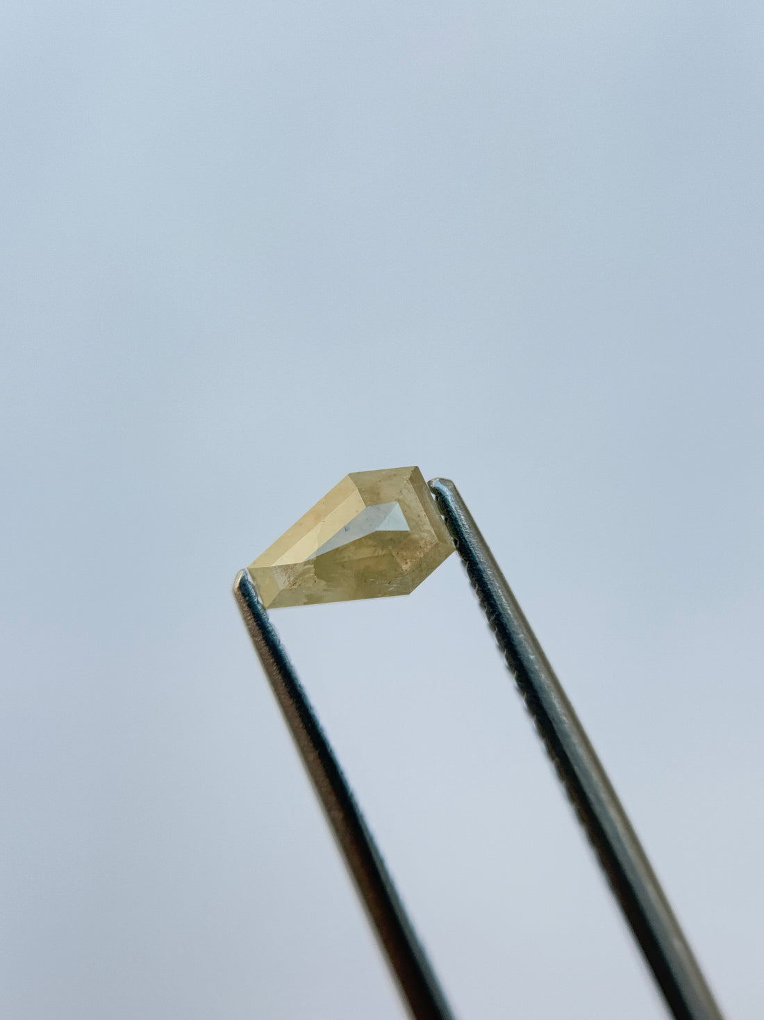 0.69 Ct Coffin Rose Cut Grey Natural Salt and Pepper Diamond