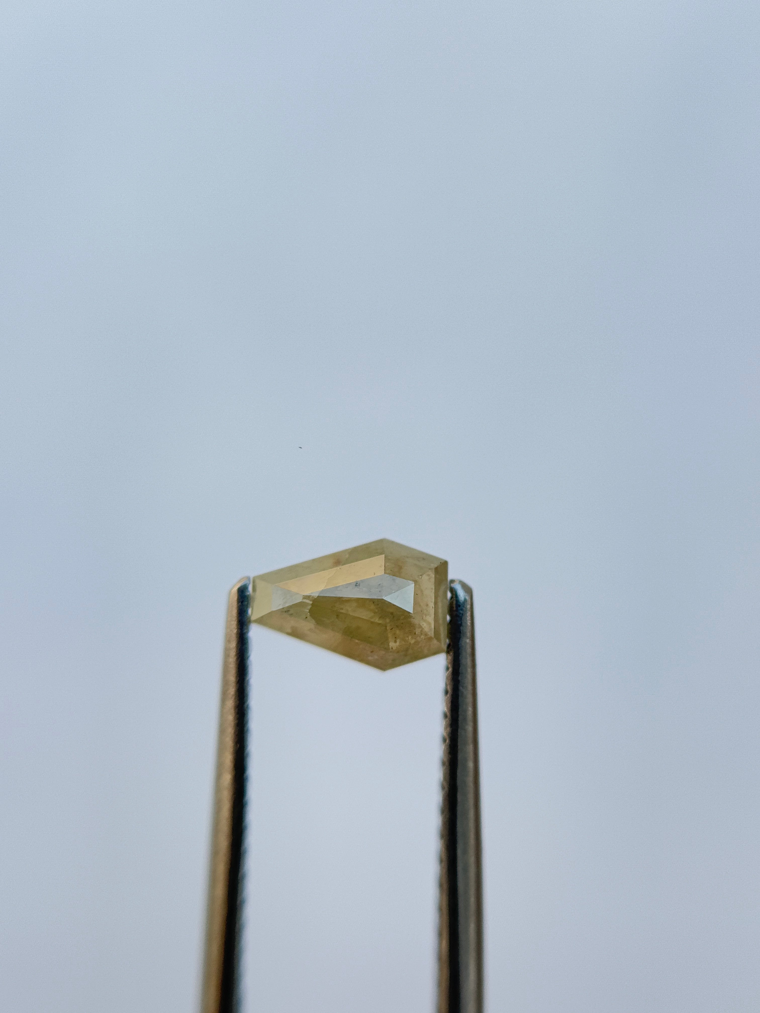 0.69 Ct Coffin Rose Cut Grey Natural Salt and Pepper Diamond