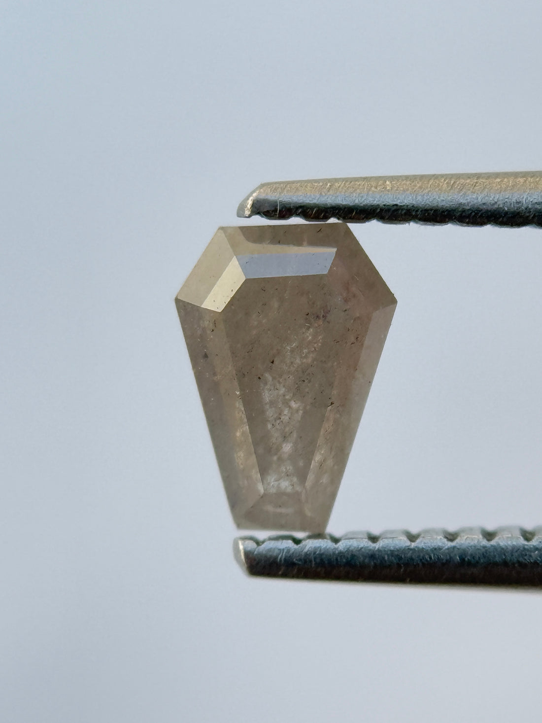 0.70 Ct Coffin Rose Cut Grey Natural Salt and Pepper Diamond