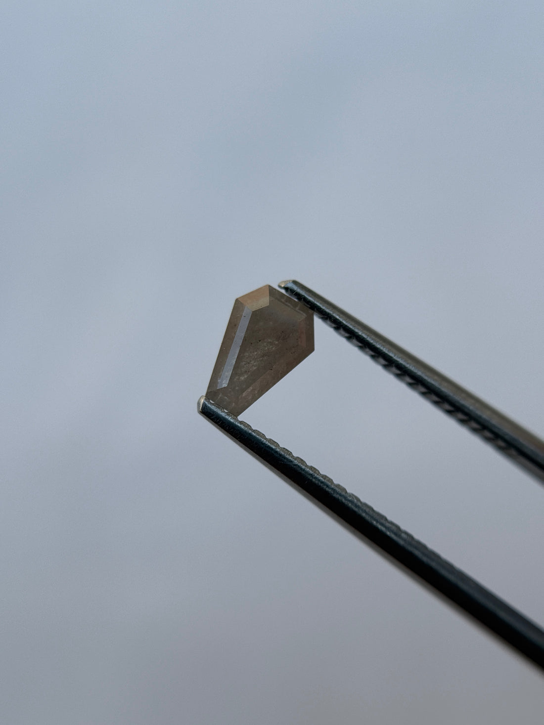 0.70 Ct Coffin Rose Cut Grey Natural Salt and Pepper Diamond