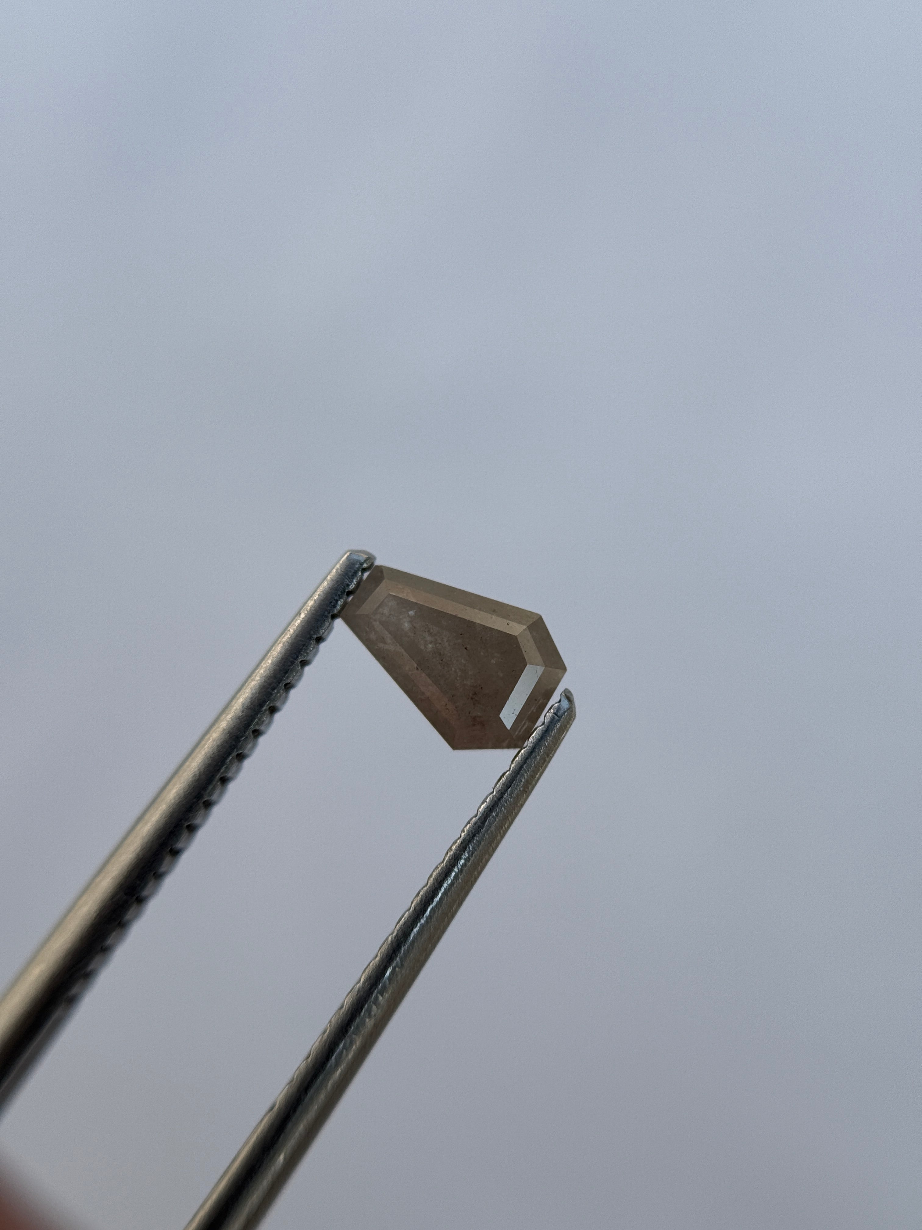 0.70 Ct Coffin Rose Cut Grey Natural Salt and Pepper Diamond