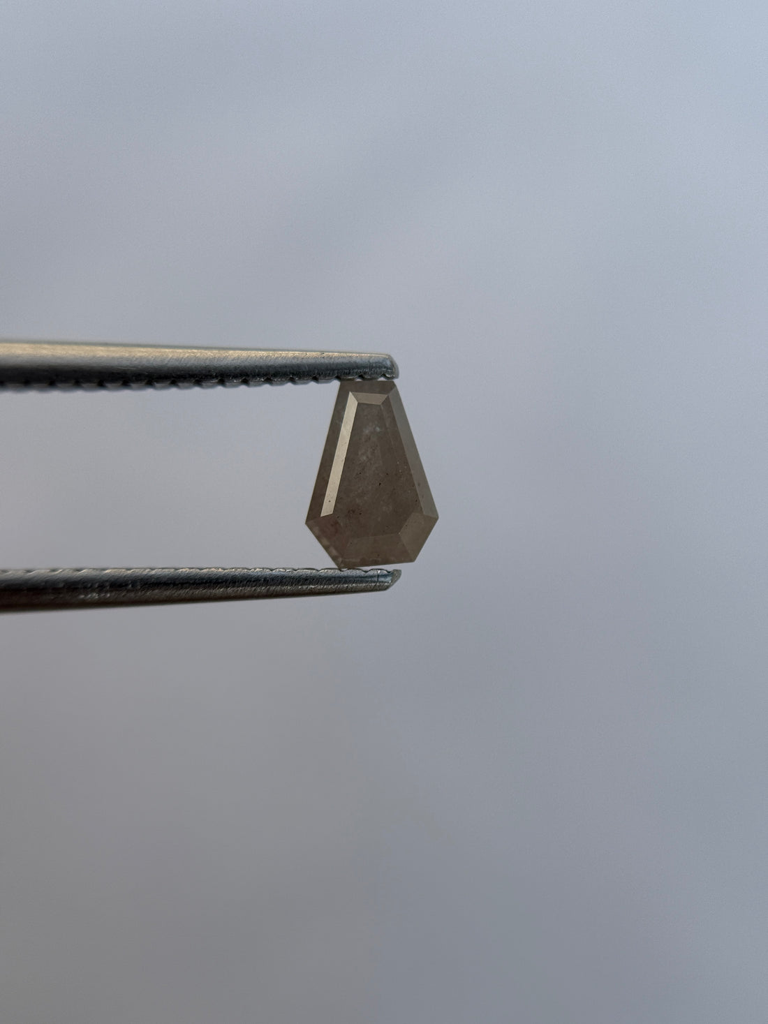 0.70 Ct Coffin Rose Cut Grey Natural Salt and Pepper Diamond