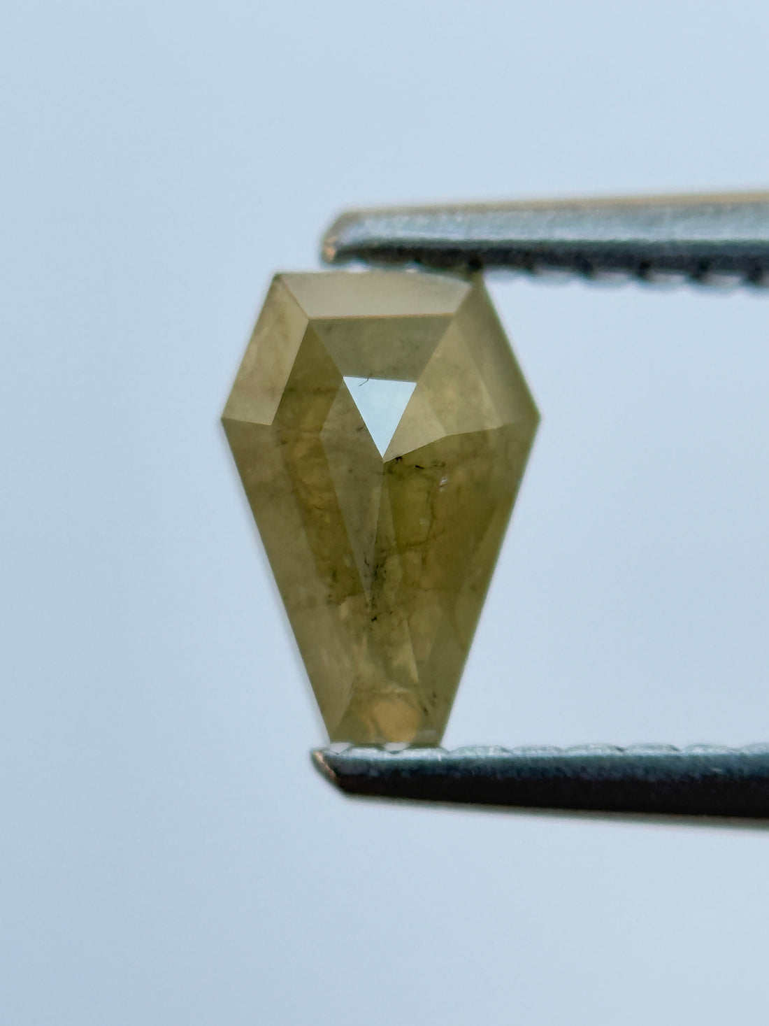 0.70 Ct Coffin Rose Cut Yellow Natural Salt and Pepper Diamond