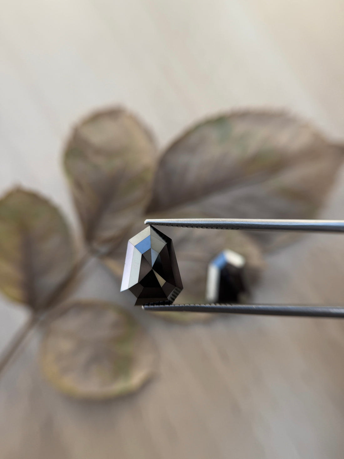 7.23 Ct Shield Rose Cut Black Natural Unique Diamond