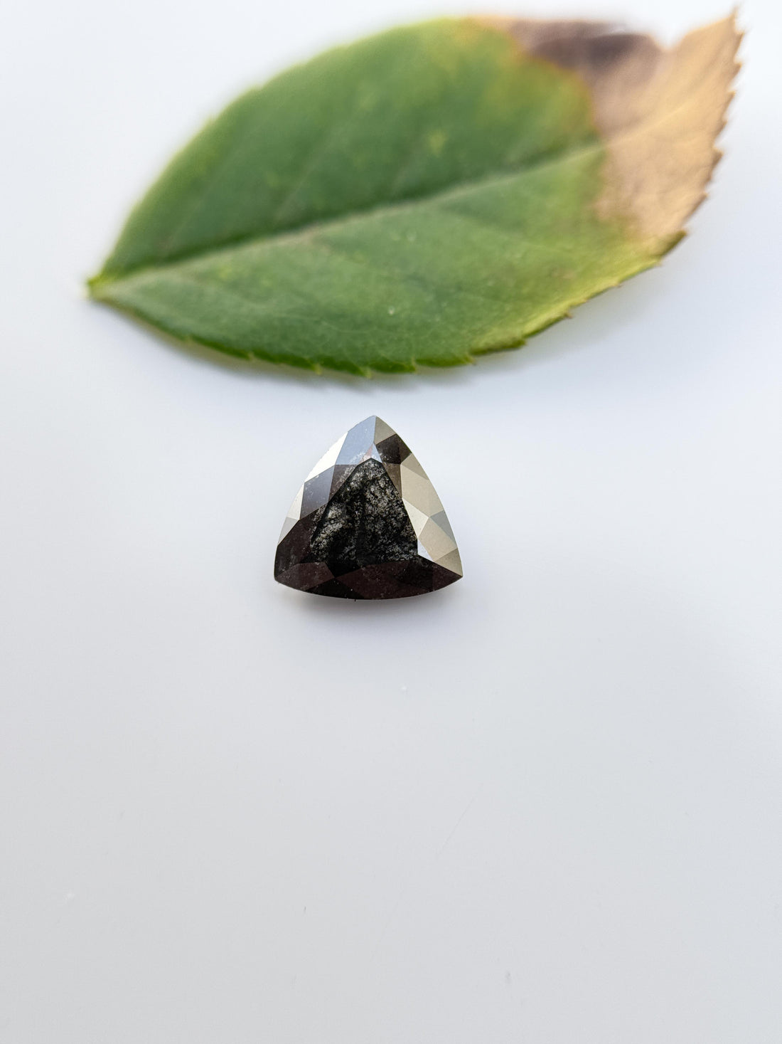 0.63 Ct Triangle Rose Cut Grey Natural Salt and Pepper Diamond