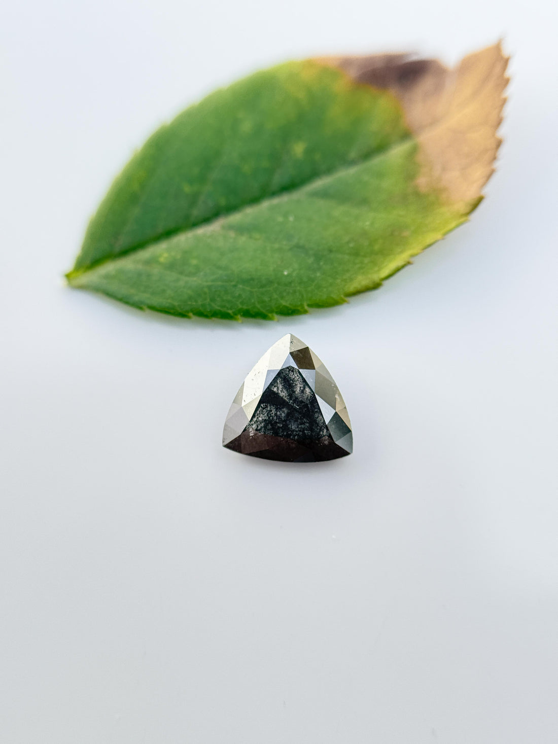 0.63 Ct Triangle Rose Cut Grey Natural Salt and Pepper Diamond