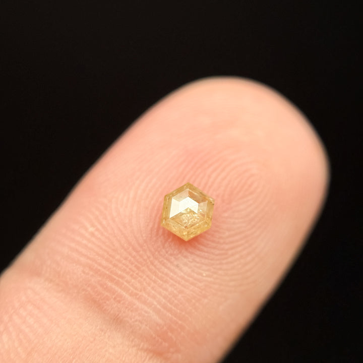 0.30 Ct Hexagon Rose Cut Yellow Natural Salt and Pepper Diamond