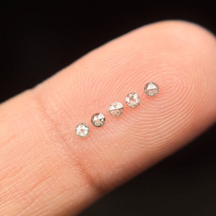 0.015 Ct Round Rose Cut Grey Natural Salt and Pepper Diamond